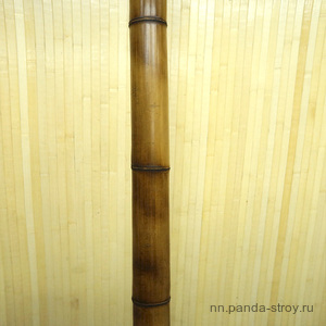 Ствол бамбука d=40-50 обожжен.